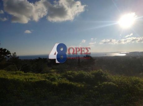 Οικόπεδο 4.419τ.μ. για πώληση-Χίος » Πόλη χίου