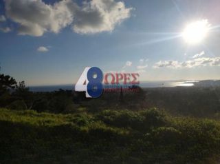 Οικόπεδο 4.419 τ.μ. για πώληση