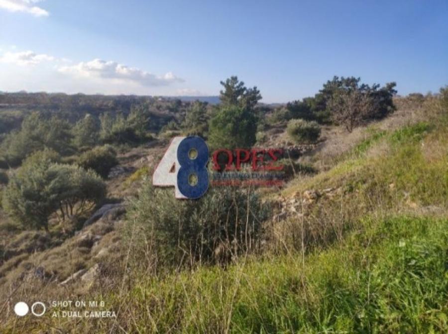 Οικόπεδο 4.419 τ.μ. προς πώληση, Πόλη Χίου