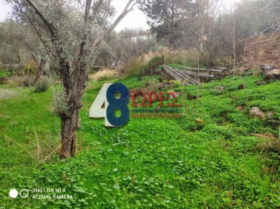 Οικόπεδο 1.126 τ.μ. προς πώληση, Πόλη Χίου