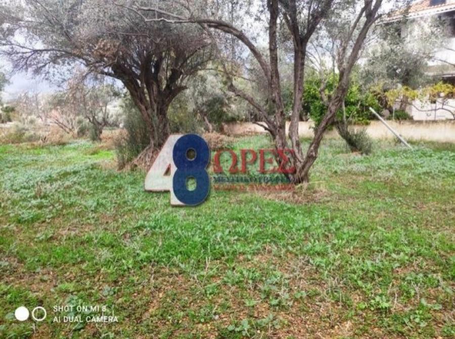 Οικόπεδο 1.126 τ.μ. προς πώληση, Πόλη Χίου