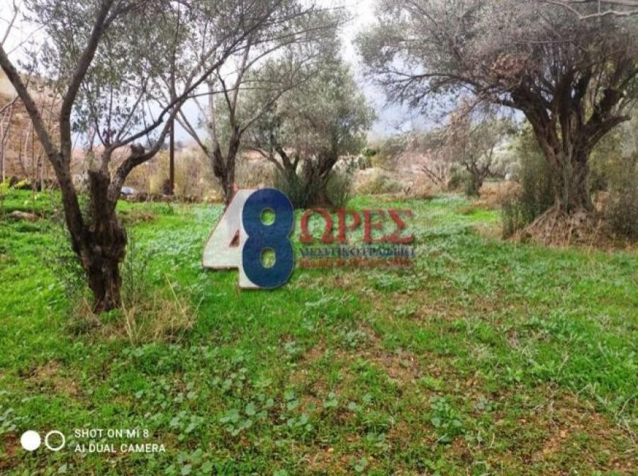 Οικόπεδο 1.126 τ.μ. προς πώληση, Πόλη Χίου