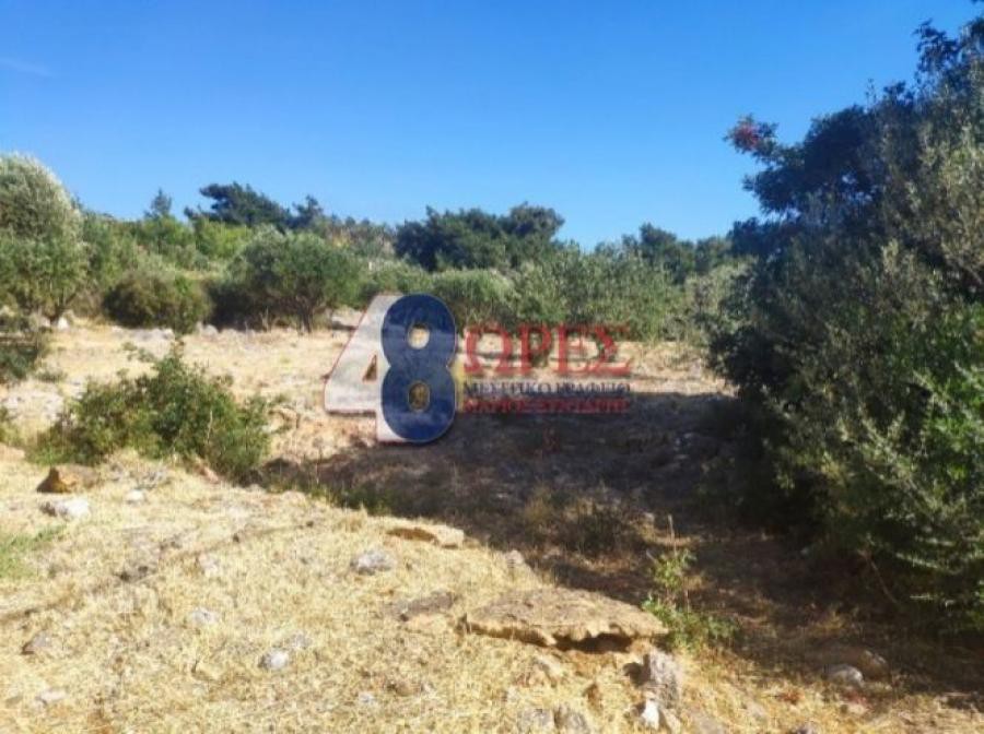 Οικόπεδο 2.036 τ.μ. προς πώληση, Πόλη Χίου