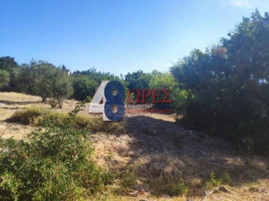 Οικόπεδο 2.036 τ.μ. προς πώληση, Πόλη Χίου