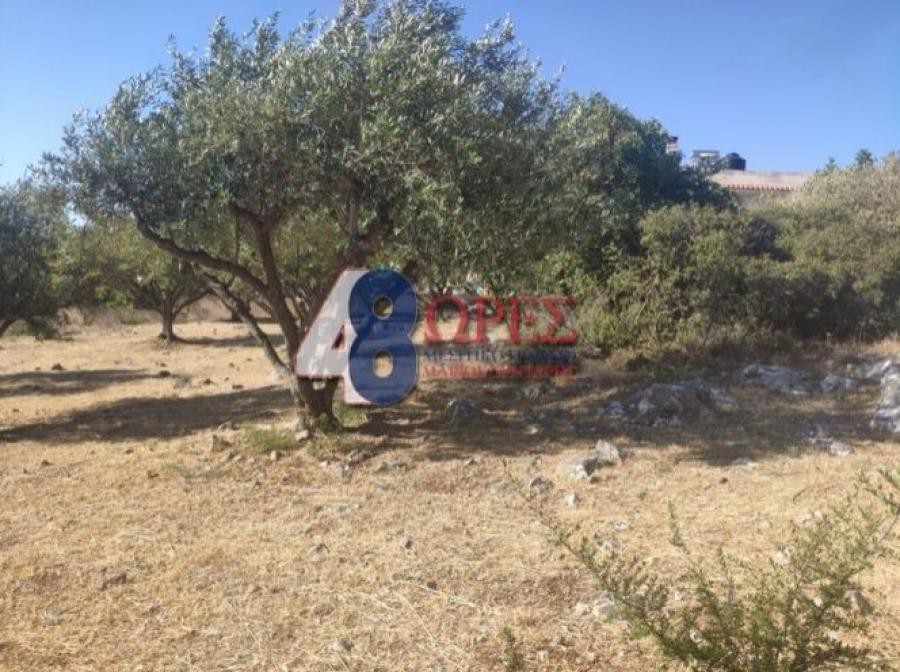 Οικόπεδο 2.036 τ.μ. προς πώληση, Πόλη Χίου