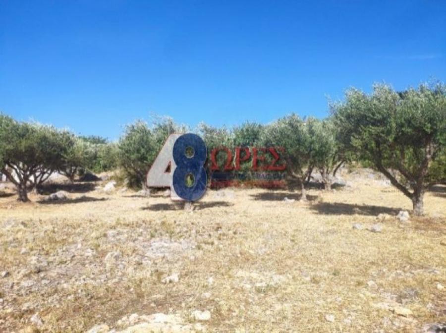 Οικόπεδο 1.018 τ.μ. προς πώληση, Πόλη Χίου