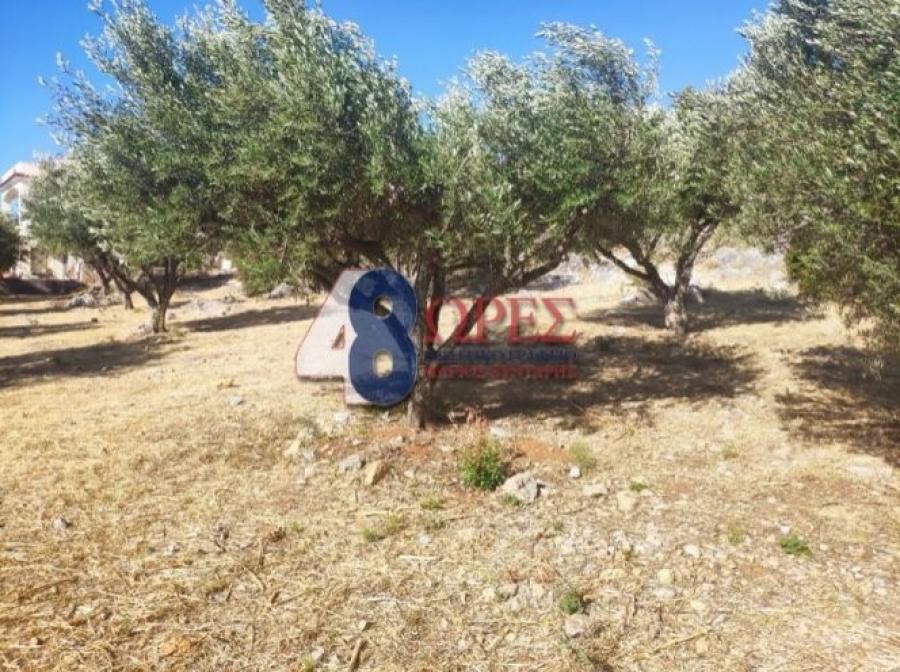 Οικόπεδο 1.018 τ.μ. προς πώληση, Πόλη Χίου