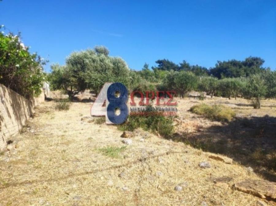 Οικόπεδο 1.018 τ.μ. προς πώληση, Πόλη Χίου