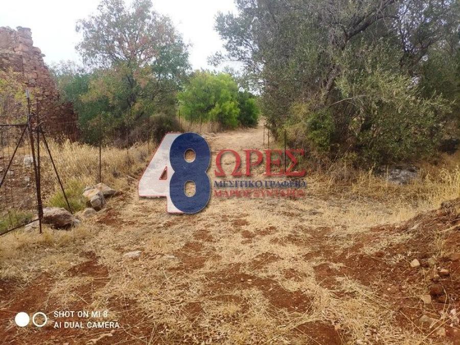 Οικόπεδο 5.809 τ.μ. προς πώληση, Πόλη Χίου