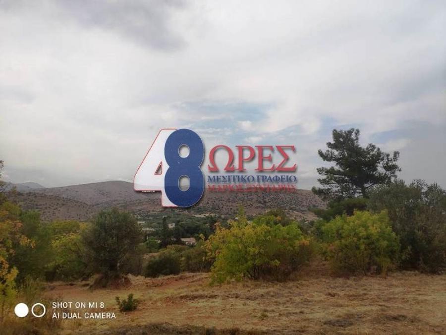 Οικόπεδο 5.809 τ.μ. προς πώληση, Πόλη Χίου