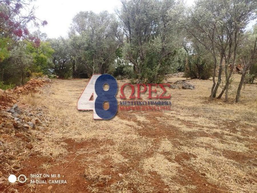 Οικόπεδο 5.809 τ.μ. προς πώληση, Πόλη Χίου