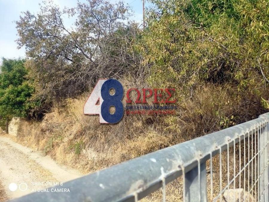 Οικόπεδο 1.364 τ.μ. προς πώληση, Ομηρούπολη