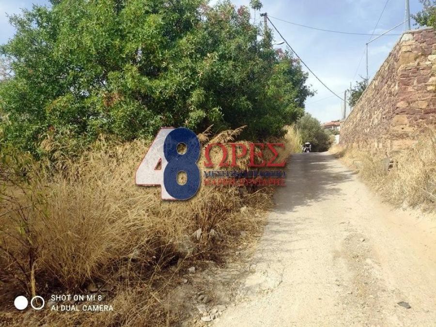 Οικόπεδο 1.364 τ.μ. προς πώληση, Ομηρούπολη