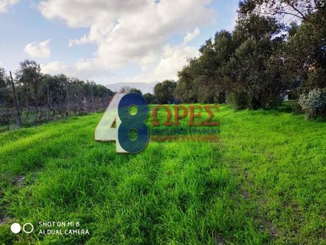 Parcel 1.184sqm for sale-Chios » Agios Minas