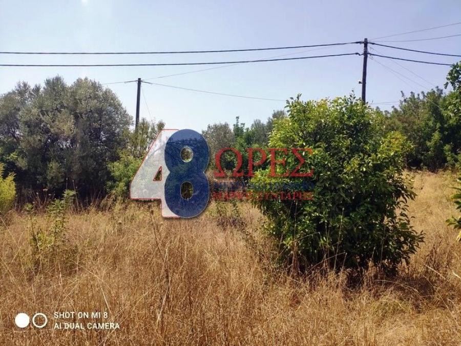Οικόπεδο 1.385 τ.μ. προς πώληση, Πόλη Χίου