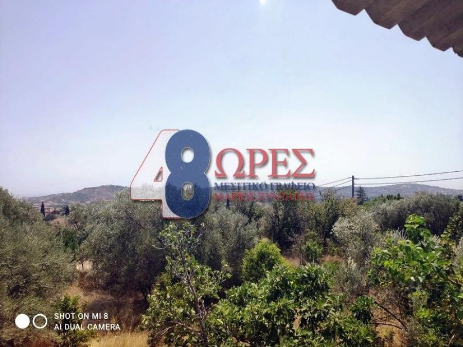 Οικόπεδο 1.385 τ.μ. προς πώληση, Πόλη Χίου