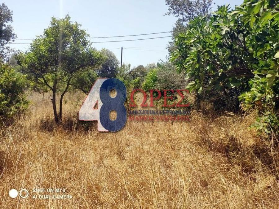 Οικόπεδο 1.385 τ.μ. προς πώληση, Πόλη Χίου