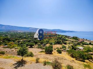 Κτίριο 370 τ.μ. για πώληση, Ν. Χίου, Χίος-thumb-10