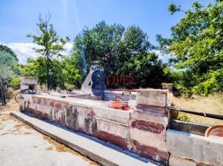 Οικόπεδο 13.448 τ.μ. για πώληση, Ν. Χίου, Χίος-thumb-24