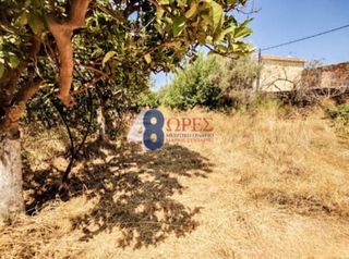 Οικόπεδο 13.448 τ.μ. για πώληση, Ν. Χίου, Χίος-thumb-4
