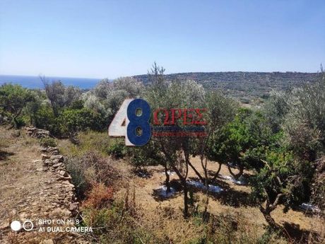 Αγροτεμάχια 2.682 τ.μ. για πώληση