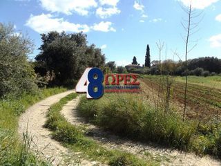 Οικόπεδο 16.600 τ.μ. για πώληση