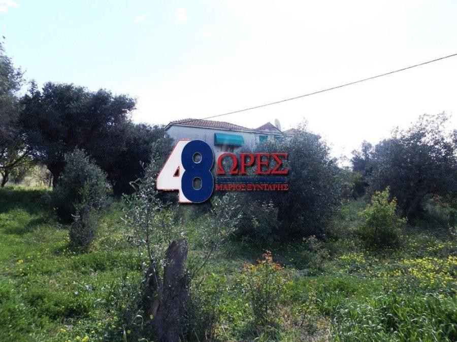 Οικόπεδο 16.600 τ.μ. προς πώληση, Καμποχώρια