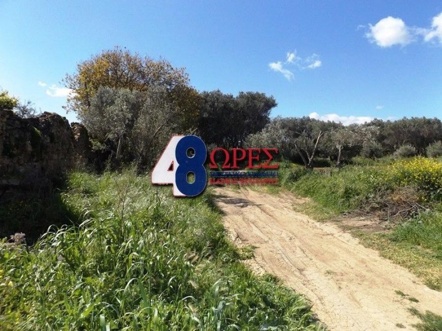 Οικόπεδο 16.600 τ.μ. προς πώληση, Καμποχώρια