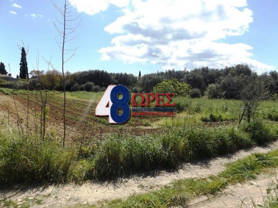 Οικόπεδο 16.600 τ.μ. προς πώληση, Καμποχώρια
