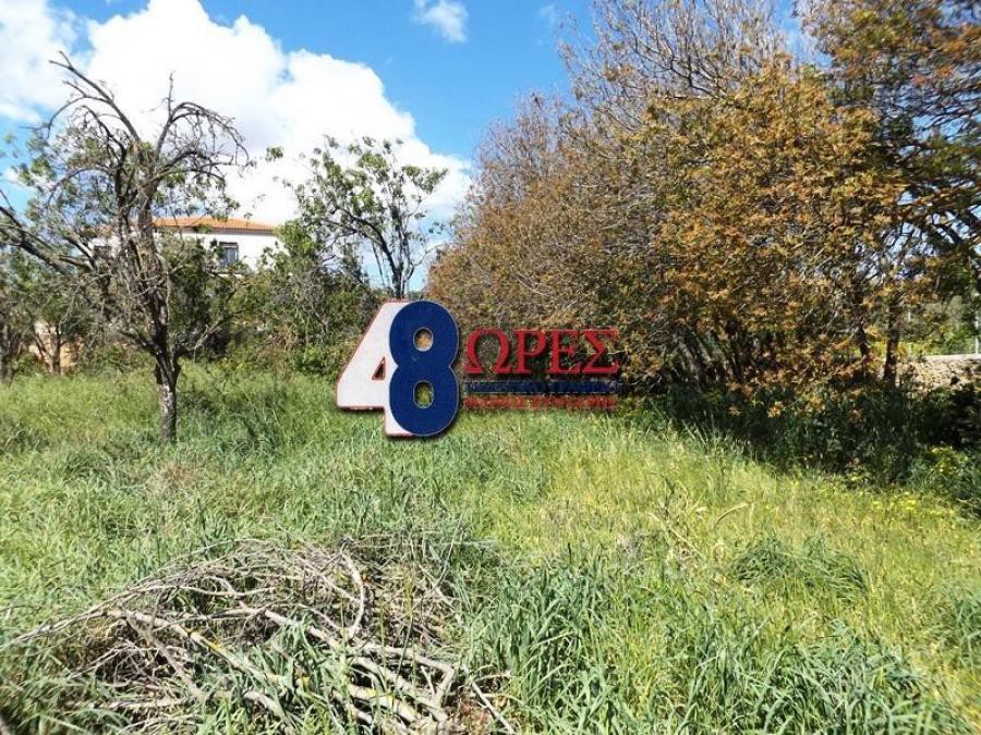 Οικόπεδο 16.600 τ.μ. προς πώληση, Καμποχώρια