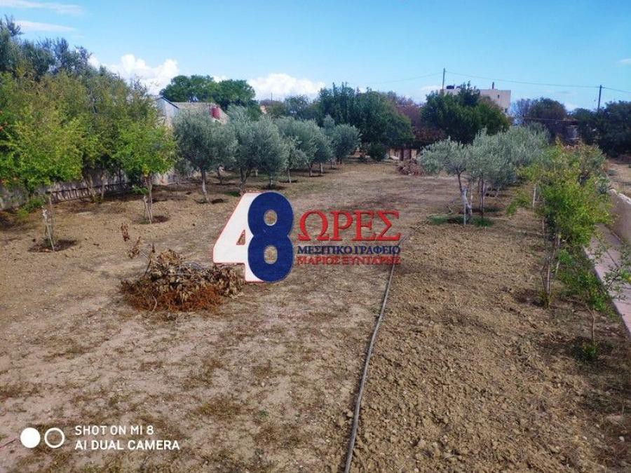 Αγροτεμάχια 996 τ.μ. προς πώληση, Άγιος Μηνάς Χίου