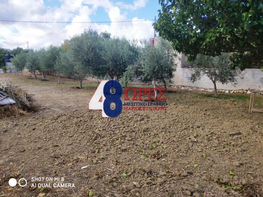 Αγροτεμάχια 996 τ.μ. προς πώληση, Άγιος Μηνάς Χίου