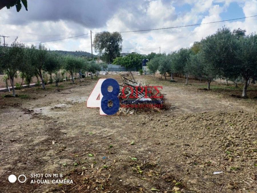 Αγροτεμάχια 996 τ.μ. προς πώληση, Άγιος Μηνάς Χίου