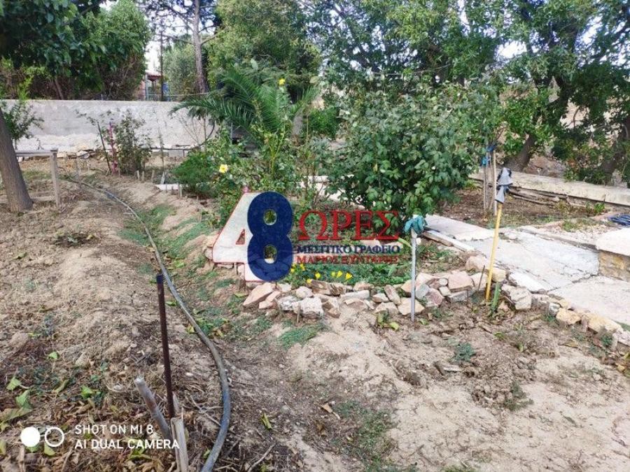 Αγροτεμάχια 996 τ.μ. προς πώληση, Άγιος Μηνάς Χίου