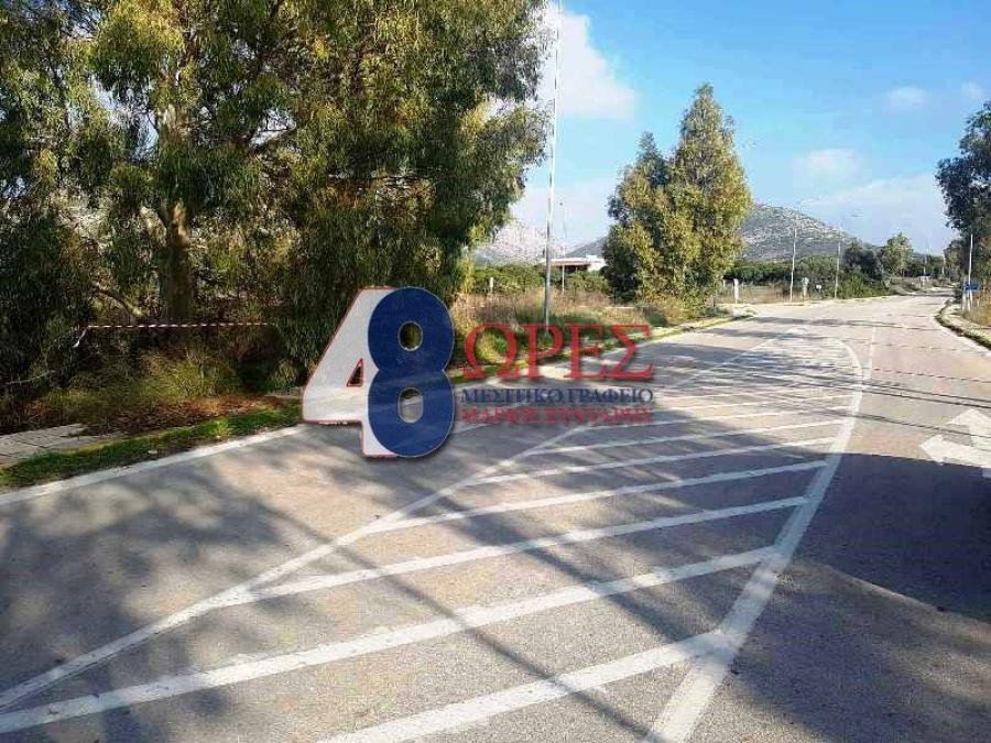 Οικόπεδο 1.297 τ.μ. προς πώληση, Μαστιχοχώρια
