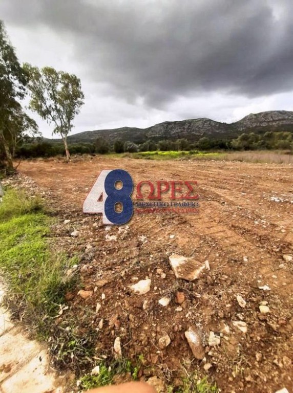 Οικόπεδο 1.297 τ.μ. προς πώληση, Μαστιχοχώρια