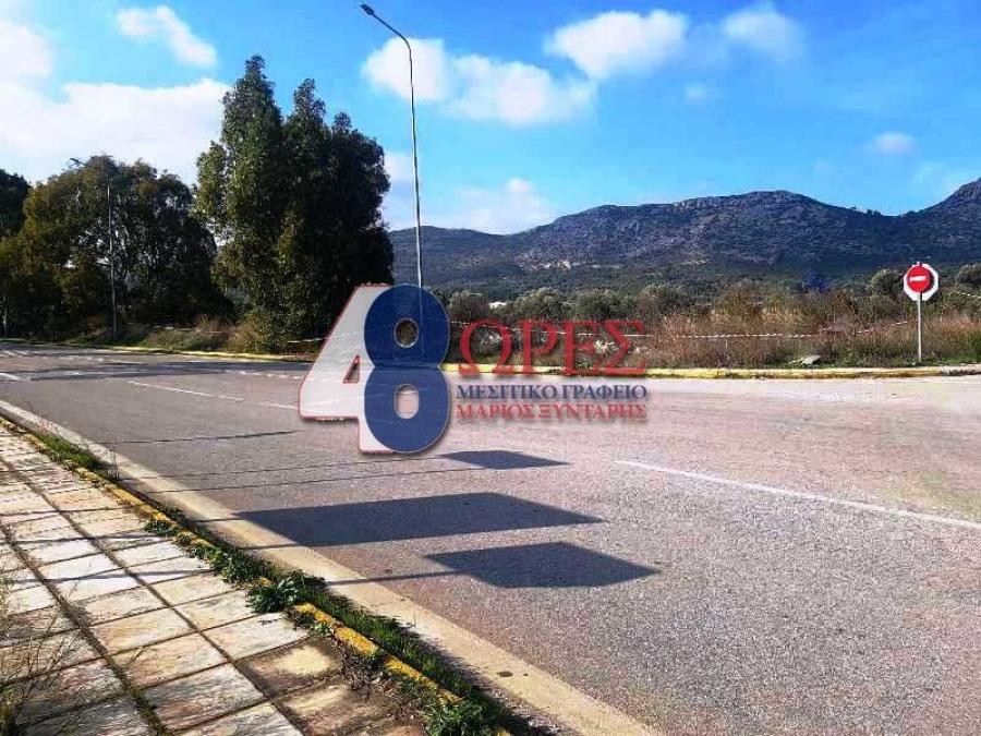 Οικόπεδο 1.297 τ.μ. προς πώληση, Μαστιχοχώρια