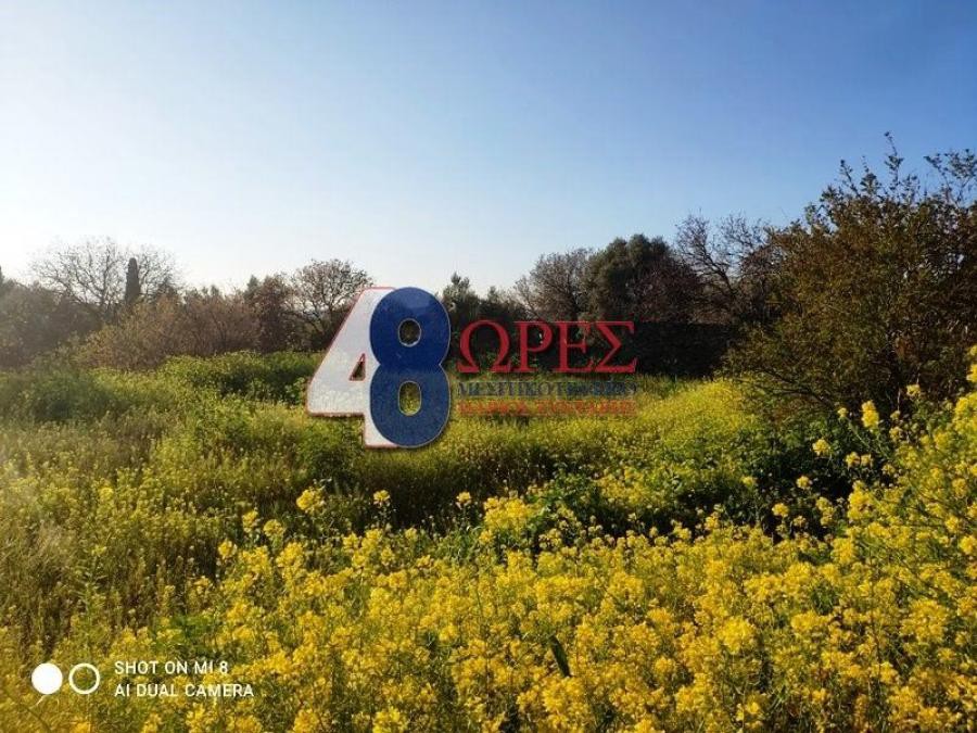 Οικόπεδο 895 τ.μ. προς πώληση, Πόλη Χίου
