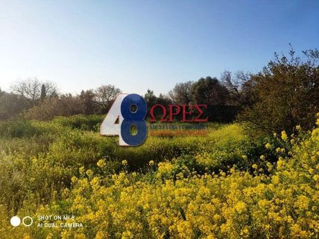 Οικόπεδο 895τ.μ. για πώληση-Χίος » Πόλη χίου