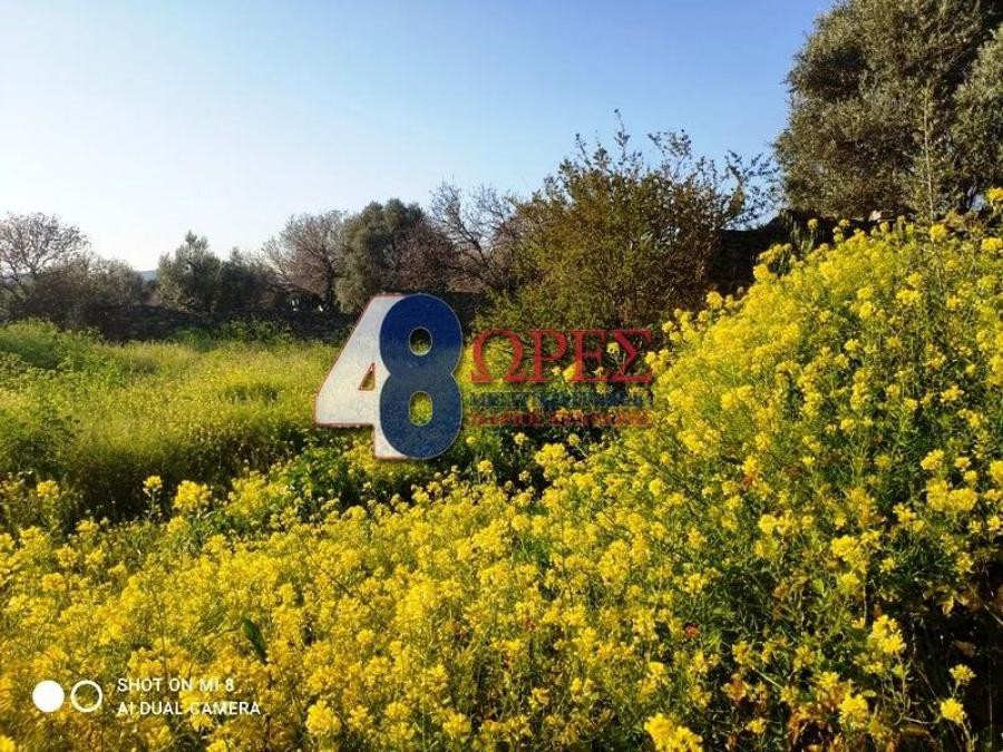 Οικόπεδο 895 τ.μ. προς πώληση, Πόλη Χίου