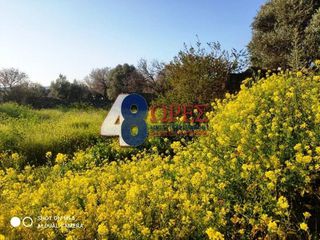 Οικόπεδο 895 τ.μ. προς πώληση, Πόλη Χίου-thumb-4