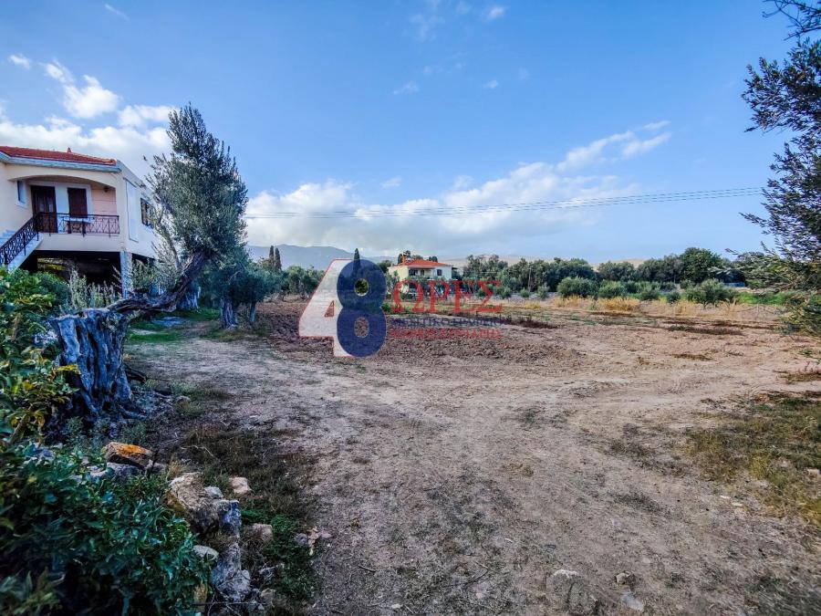 Οικόπεδο 2.003 τ.μ. προς πώληση, Πόλη Χίου