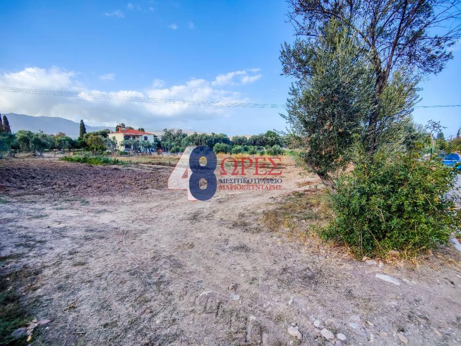 Οικόπεδο 2.003 τ.μ. προς πώληση, Πόλη Χίου