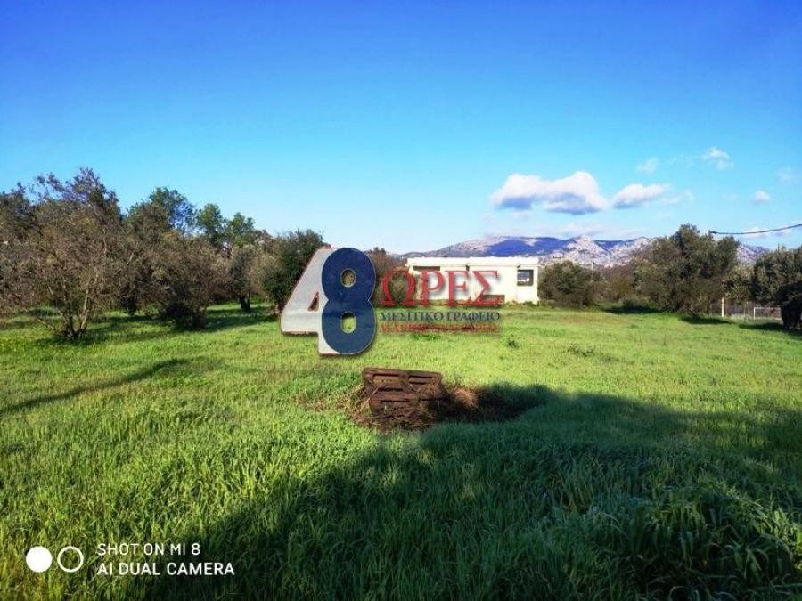 Οικόπεδο 2.005 τ.μ. προς πώληση, Άγιος Μηνάς Χίου