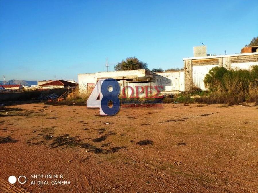 Οικόπεδο 5.263 τ.μ. προς πώληση, Άγιος Μηνάς Χίου