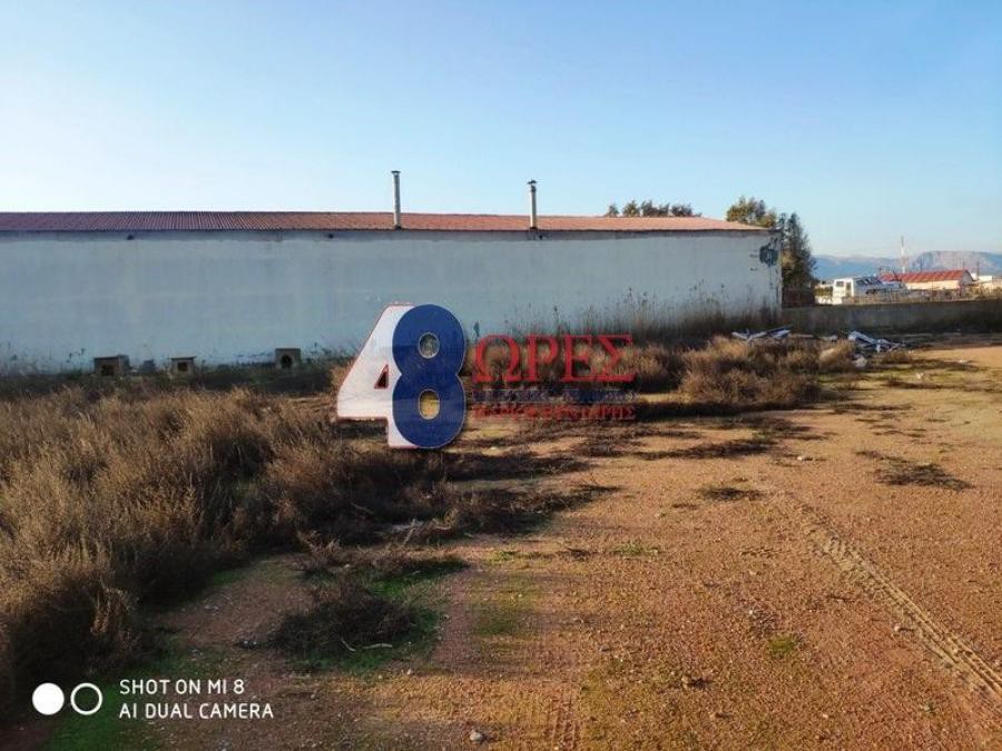 Οικόπεδο 5.263 τ.μ. προς πώληση, Άγιος Μηνάς Χίου