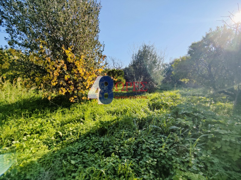Οικόπεδο 1.842 τ.μ. προς πώληση, Πόλη Χίου