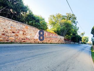 Οικόπεδο 9.200 τ.μ. προς πώληση, Άγιος Μηνάς Χίου-thumb-21