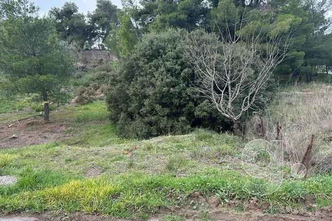 Οικόπεδο 200 τ.μ. για πώληση, Αθήνα - Νότια Προάστια, Άγιος Δημήτριος