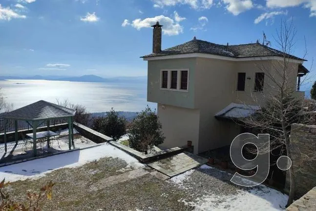 Detached home 110 sqm for sale, Magnesia, Milies